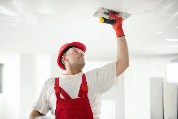 Best Stucco Painting  in Yuma, AZ